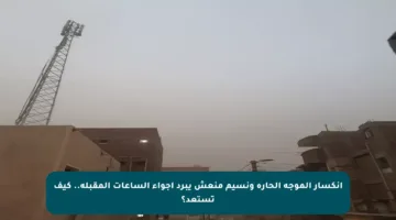 انكسار الموجة الحارة ونسيم منعش يبرد أجواء الساعات المقبلة.. كيف تستعد؟